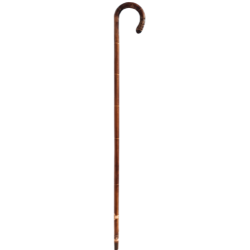 Sauer, Walking Stick Ladies, Crook Handle with Rattan Stem