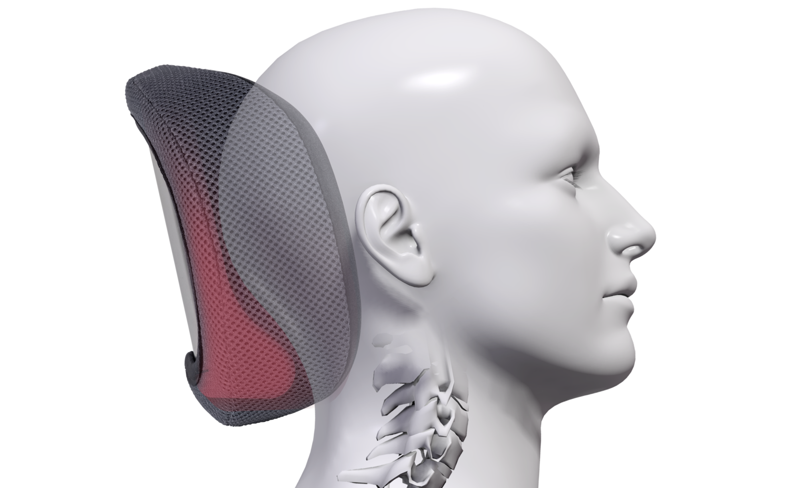 Spex Circle Head Support